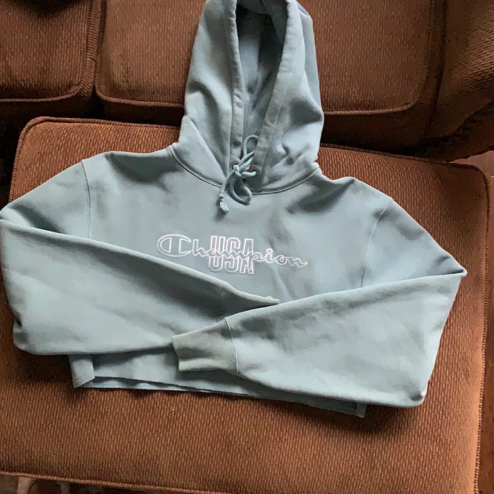 Champion crop sweatshirt with hood. Size xs runs big.